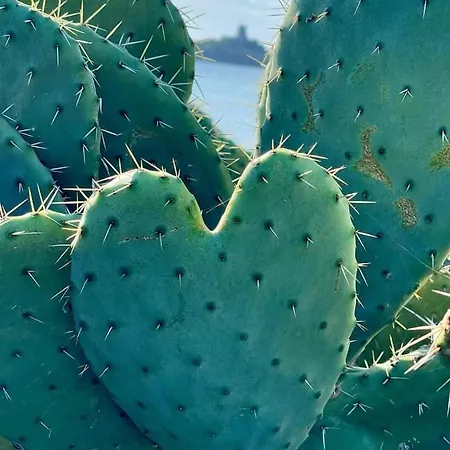 Дом отдыха La Casa Del Cuore *